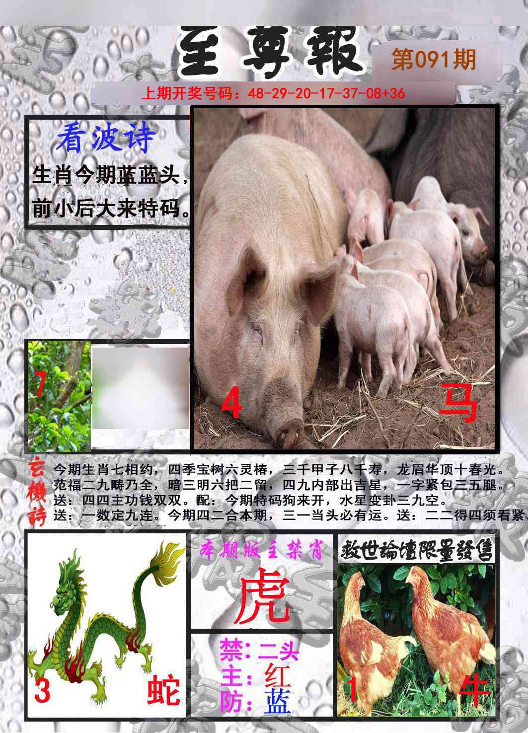 091期至尊报[图]